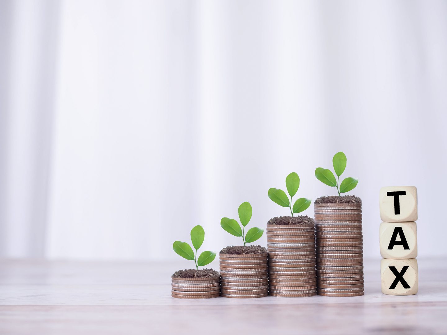 Gestión de Devoluciones y Saldos a Favor (DIAN)